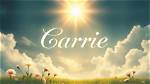 Unveiling the Life and Influence of Carrie Birk