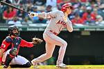 Unveiling the Phenomenon: Ohtani's Weight and Height