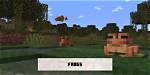 Where Do Frogs Spawn in 'Minecraft'? Plus: How to Tame ·