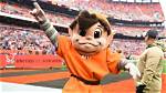 Why Is the Browns Mascot an Elf? Celebrity. Fm #1 Official Stars, Business & People Network, ·
