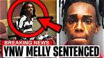 Will Ynw Melly Serve Life in Prison? the Truth Revealed